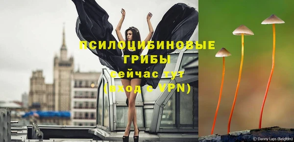 ПСИЛОЦИБИНОВЫЕ ГРИБЫ Аркадак