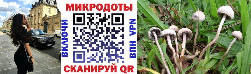Галлюциногенные грибы мицелий  omg ТОР  дарк нет Telegram  Баксан 